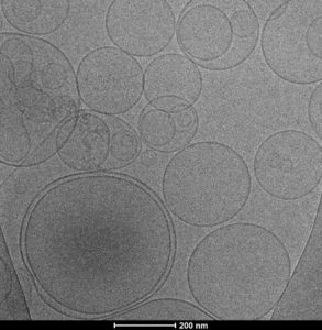 איכות המגנזיום הליפוזומלי (סקאלה 200nm)
